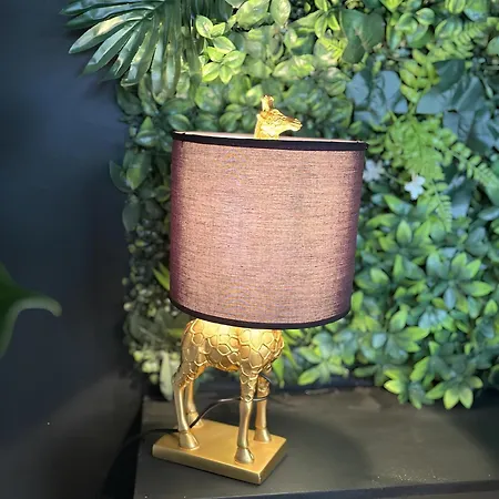 L'oasis Confort, Centre-ville Appartement *