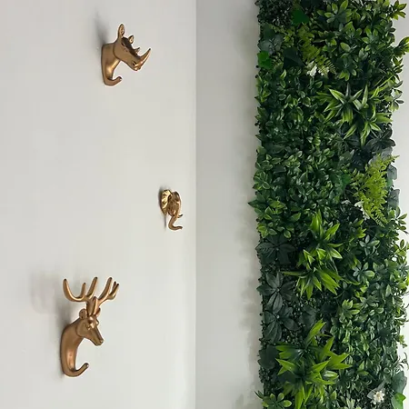 Appartement L'oasis Confort, Centre-ville Arras