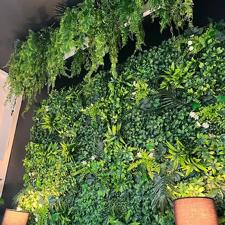 Appartement L'oasis Confort, Centre-ville *